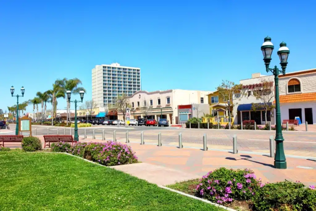 Chula Vista downtown area with palm trees, landscaped plaza, and modern buildings under a clear blue sky