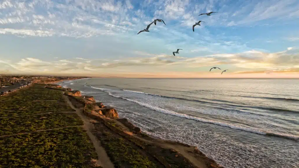 Carlsbad mental health services helping residents find accessible behavioral health care options nearby