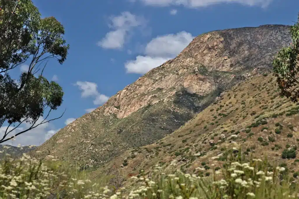 Accessing therapy and mental health care close to El Cajon
