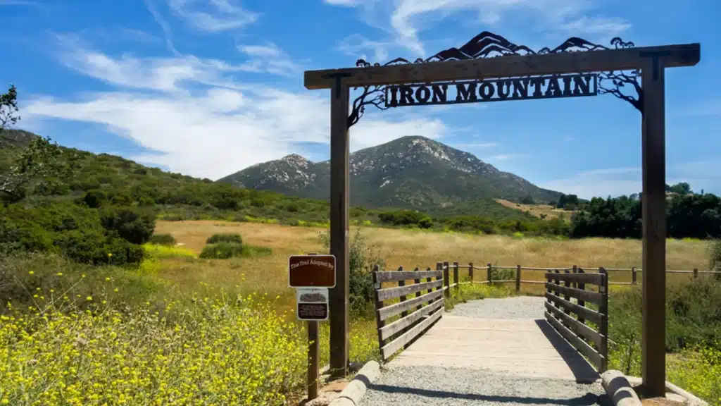 Individual gaining clarity and emotional balance through therapy in Poway