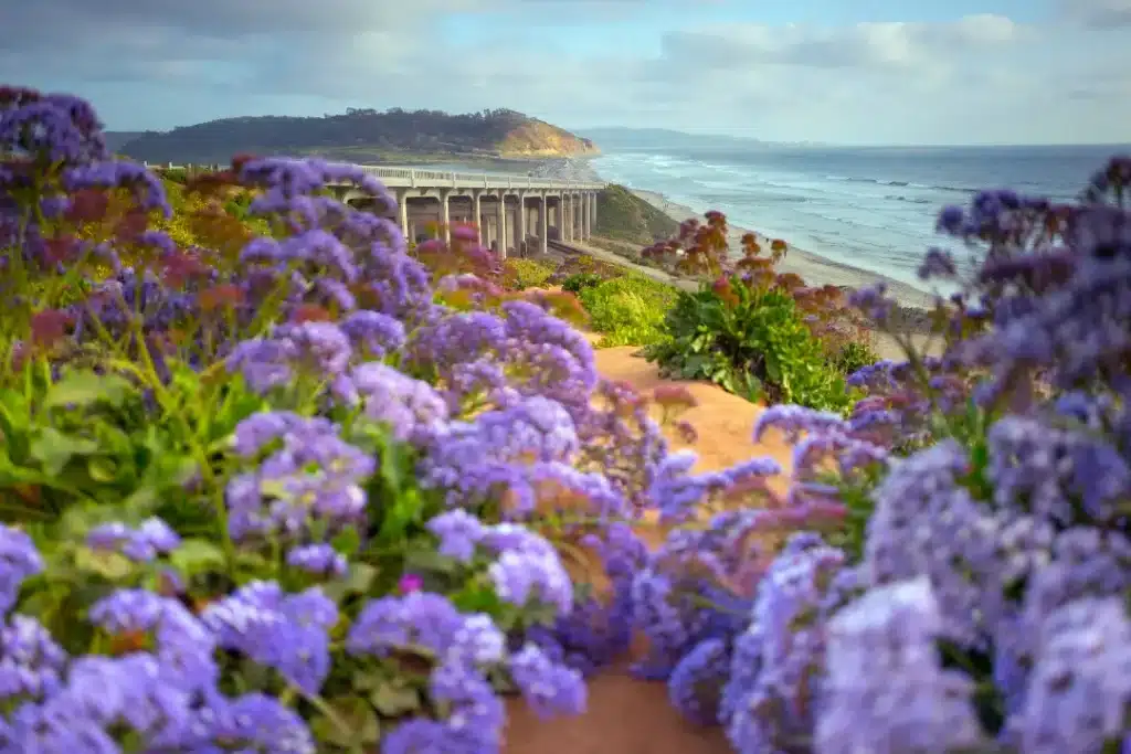 Del Mar coastline near Torrey Pines with serene beach scene symbolizing mental health balance and emotional recovery