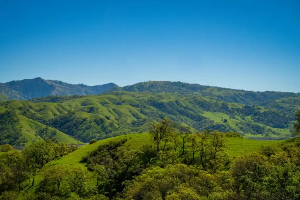 Rolling hills and open landscapes in Spring Valley with greenery, quiet surroundings, and natural scenery