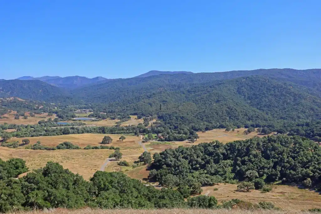A scenic view of a valley featuring several trees and gentle hills in the background.
