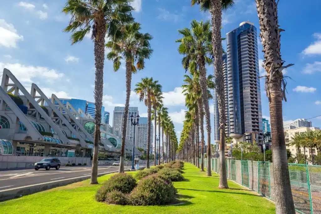 Palm tree-lined street with modern buildings and blue skies near Tierrasanta, San Diego.