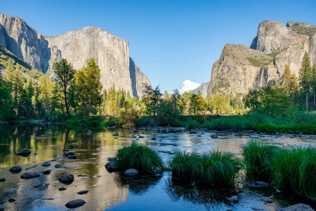 South Park Mental Health Treatment